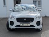 Jaguar E-PACE R-Dynamic SE AWD *KAMERA*LEDER*NAVI*WI-PA - Jaguar: R