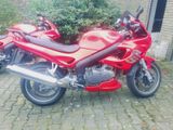 Triumph RS 955i - Angebote entsprechen deinen Suchkriterien