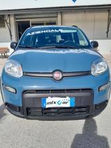 Fiat Panda Cross 1.0 FireFly S&S Hybrid - Fiat Panda Jahreswagen