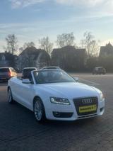 Audi A5 Cabriolet 2.0 TDI - Audi A5 aus 2011: Cabrio