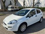 Fiat Punto 1.2 8V - - Fiat Punto in Mönchengladbach