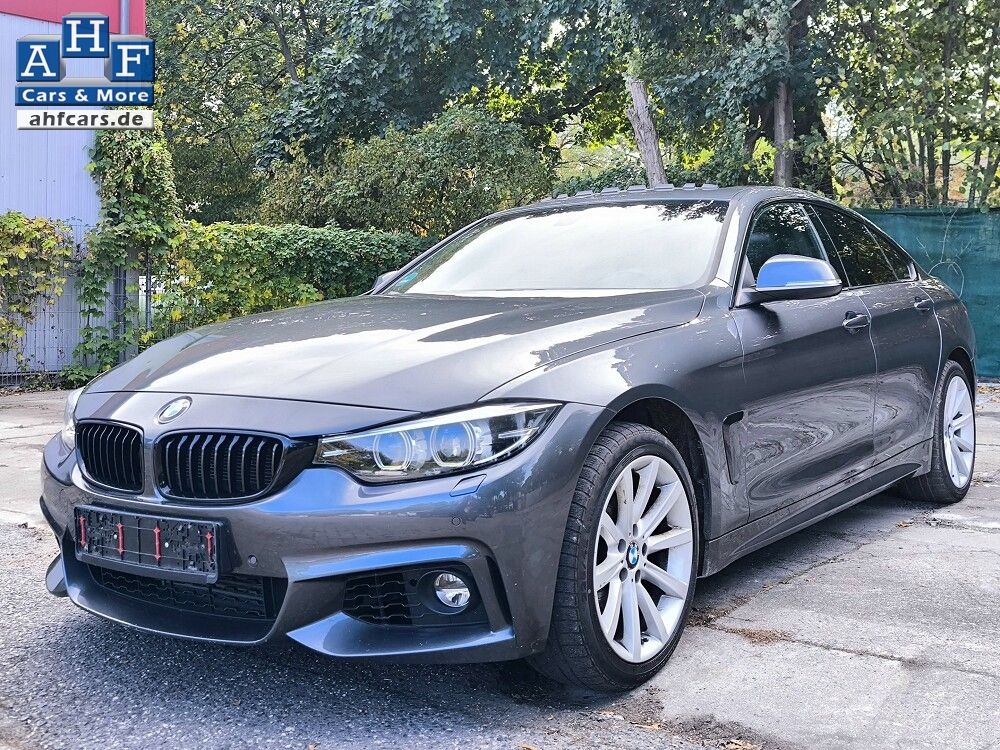 BMW 428 xDrive Gran Coupe PANO R-CAM PDC MEM SZHG