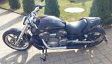 Harley-Davidson V-Rod Muscle  - HARLEY-DAVIDSON V ROD