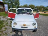 Fiat 500 Giardiniera - Fiat 500: Giardiniera