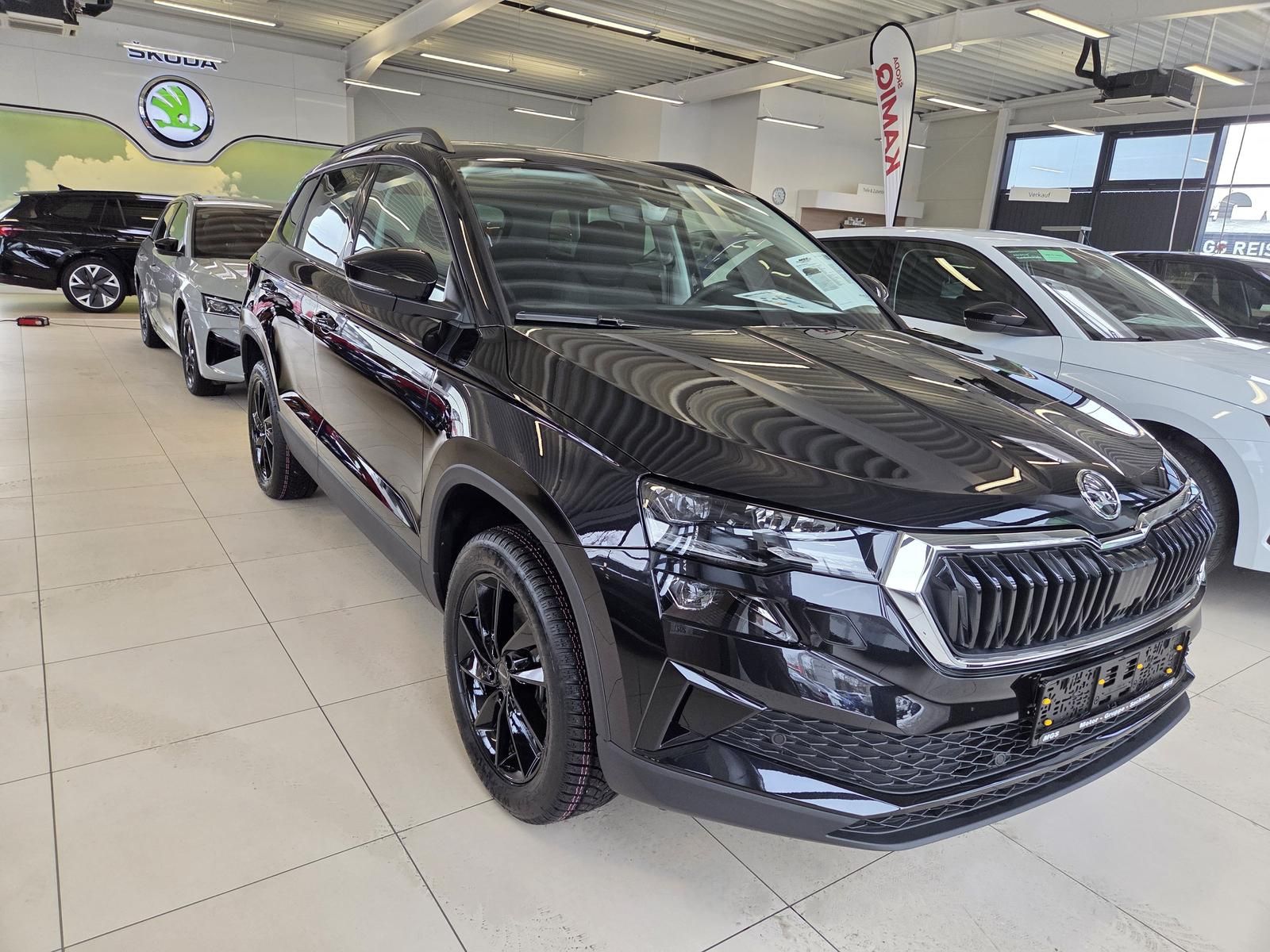 Skoda Karoq - Bild 4