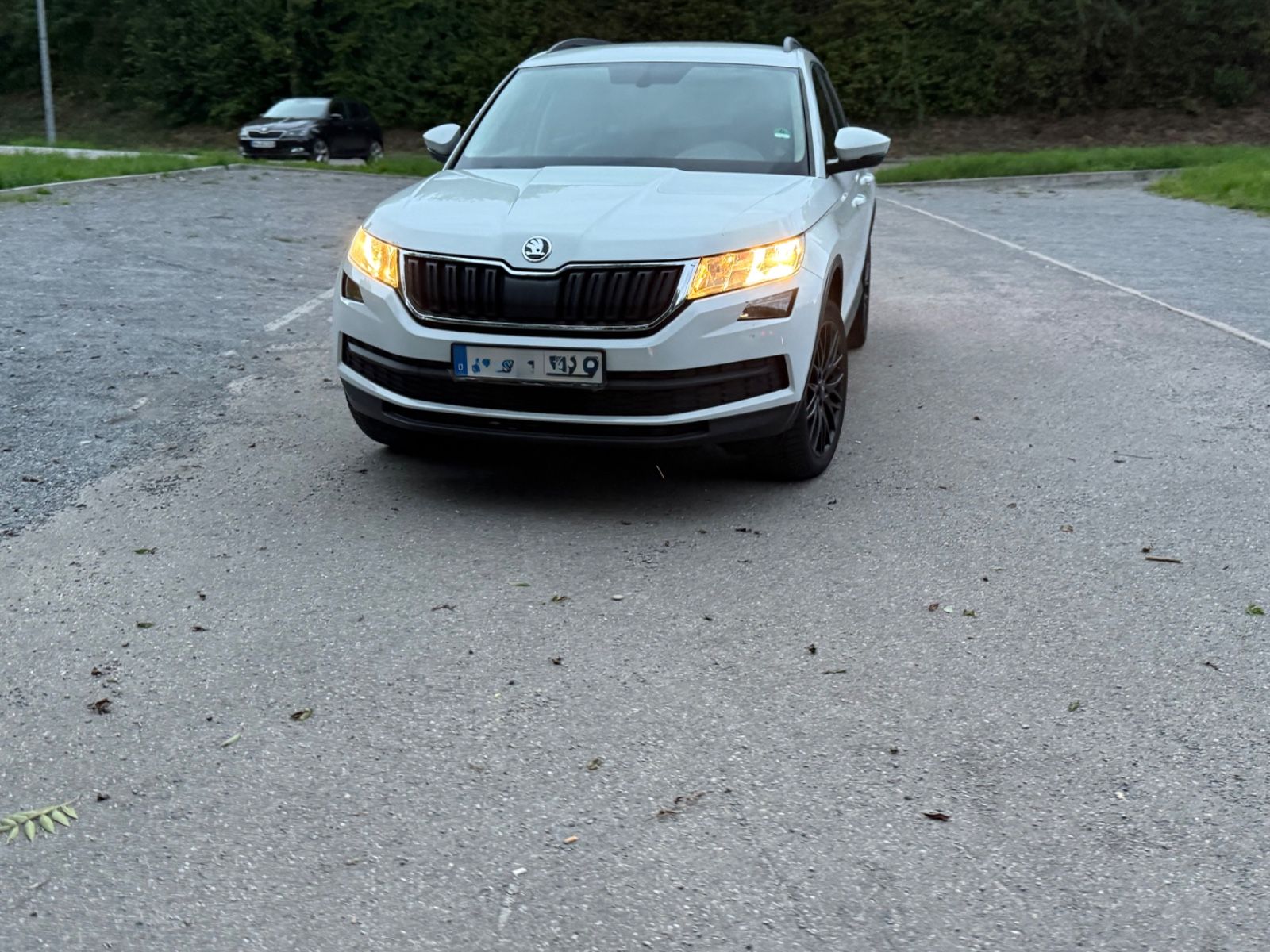 Skoda Kodiaq - 1