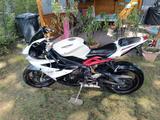 Triumph Daytona 675 R - Angebote