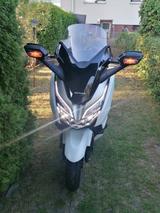 Honda Forza 300 - HONDA FORZA 300