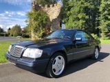 Mercedes-Benz 200 CABRIO FINAL EDITION AMG KLIMA LEDER  - Mercedes-Benz 220: Cabrio