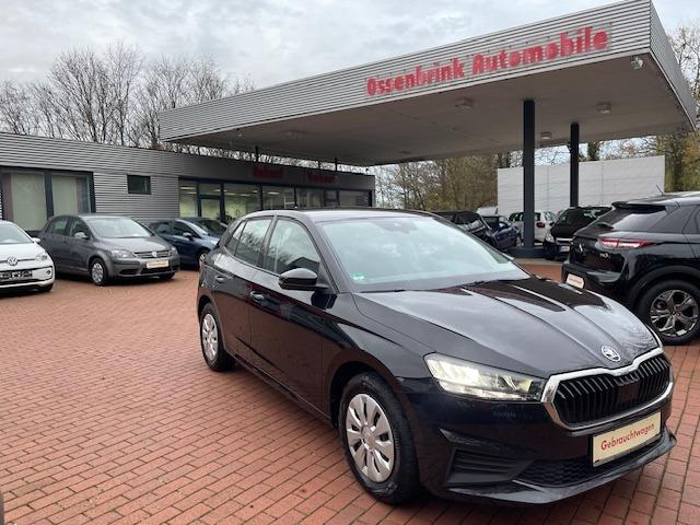 Skoda Fabia Active 1,0 TSI *DAB*CarPlay*PDC*LED*