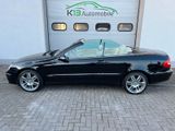 Mercedes-Benz CLK 200 Cabrio Kompressor*LEDER*XENON*KLIMA*MFL - Mercedes-Benz aus 2004: Cabrio, Clk
