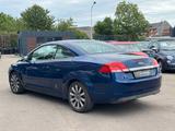 Ford Focus Cabrio Black Magic 2.0l HU neu/SHZ - Ford Focus: Black Magic