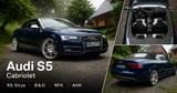 Audi S5 Cabrio AHK/B&O/Cam/Navi/EL-Sportsitze/KEYLESS