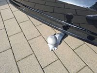 Volvo XC90 - Vorschau Bild 26