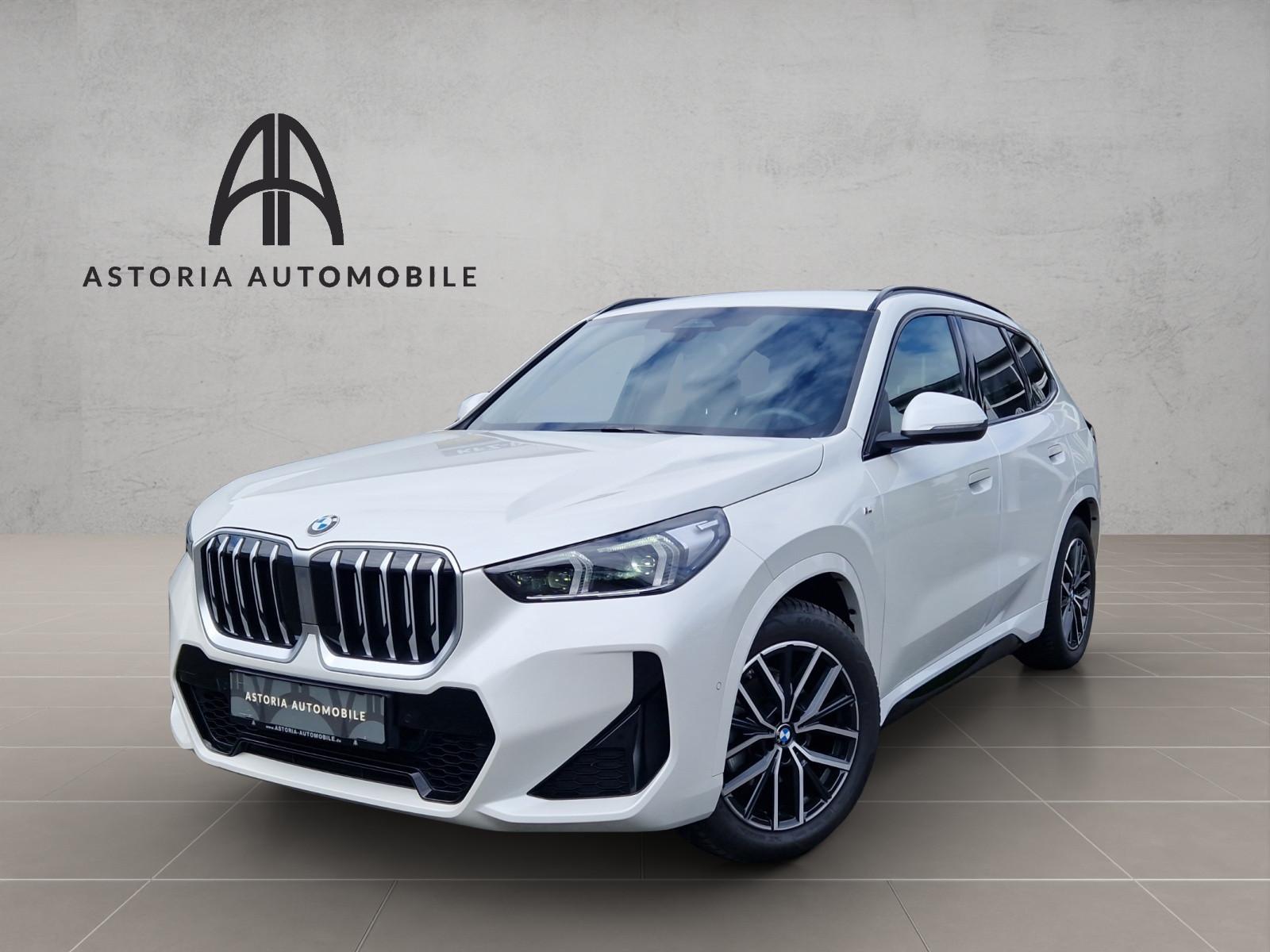 BMW X1 20 d xDrive M-Sport Hexacube DAB Kamera Alcan