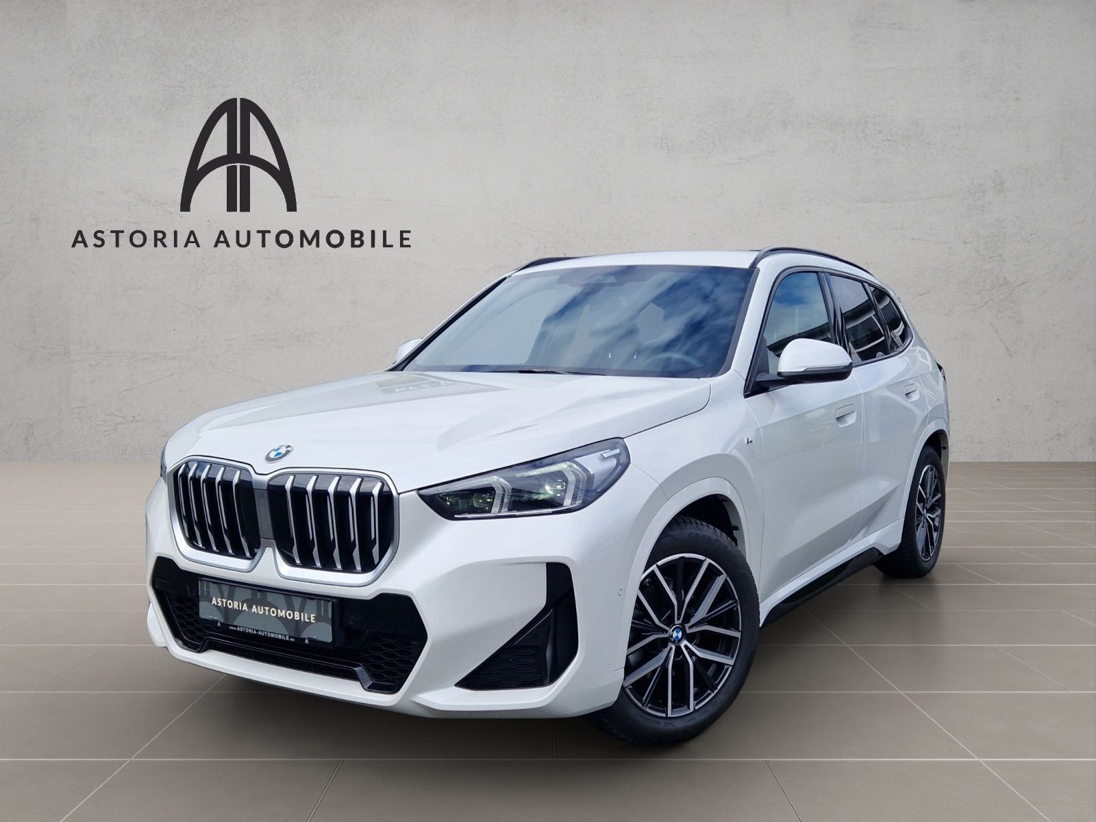 BMW X1 20 d xDrive M-Sport Hexacube DAB Kamera Alcan foto 1