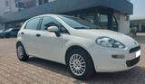 Fiat Punto 1.2 8V 5 porte Street - Fiat Punto STREET mit Benzin-Antrieb