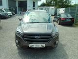Ford Kuga ST-Line*4X4*Automatik*Leder*Navi*Xenon*1.Hd - Ford Kuga ST-Line mit Benzin-Antrieb