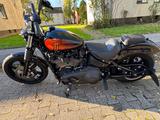 Harley-Davidson Harley Davidson Street Bob M8 Jekyll Hyde screen