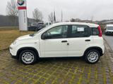 Fiat Panda Pandina Hybrid 1.0 GSE / Klima, Tempomat,  - Fiat Panda in Chemnitz