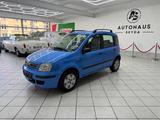 Fiat Panda 1.2 8V Dynamic *TÜV*KLIMA* - Fiat Panda Gebrauchtwagen in Bielefeld