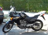 Honda Transalp XL 650 V - Angebote