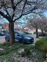 Ford Fiesta ST MK8 Performance Pack  - Ford Fiesta: Mk