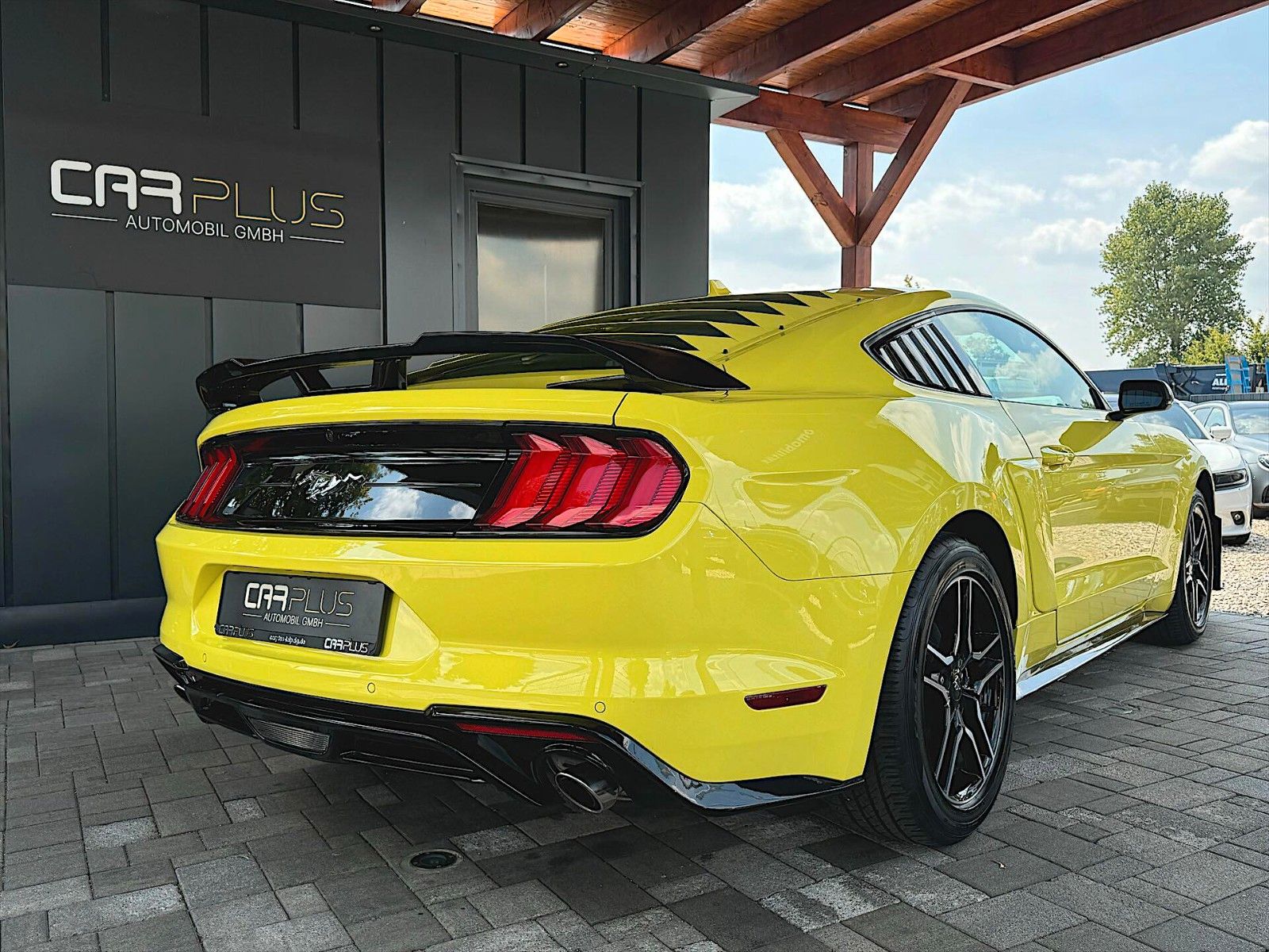 Fahrzeugabbildung Ford Mustang Shelby 500 GT Coupe Performances PREMIUM