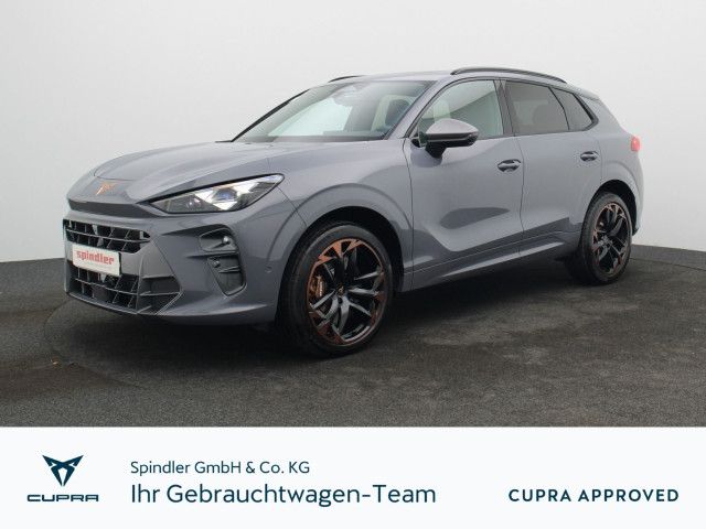 Cupra Terramar VZ 2.0 TSI 4Drive DSG / Matrix, Pano