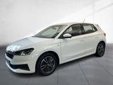 Skoda Fabia Tour Sitzhzg. DAB - Skoda Fabia: Tour