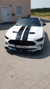 Ford Mustang 5.0 Ti-VCT V8 Bullitt Bullitt - Ford Mustang: Bullit