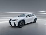 Lexus UX Crossover 300h FWD LED, LEDER, E.Klappe - Lexus UX: 300e