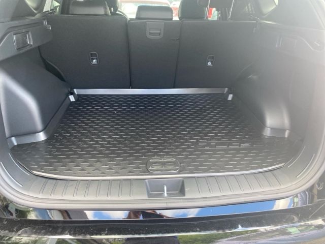 Fahrzeugabbildung Hyundai Tucson N Line X 2WD+Pano+Assistenzsystem+ Navi D