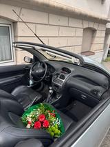 Peugeot peugeot 206 TÜV neu VB - Peugeot 206 Gebrauchtwagen in Hamburg