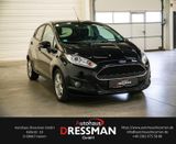 Ford Fiesta 1.0 EcoBoost Celebration Aut. KLIMA SITZH - Ford Fiesta in Hamm