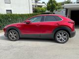 Mazda CX-30 2.0 e-SKYACTIV-G M-Hybrid Vollausstattung  - Mazda CX-30: Von Privat