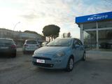 Fiat Punto 1.3 MJT 75 CV Lounge Ok Neopatentati - Fiat Punto LOUNGE mit Diesel-Antrieb