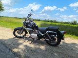 Suzuki VL 125 Intruder  - Offers matching your search criteria