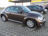 Volkswagen New Beetle Sondermodel Käfer Klima Sitzh. Temp.  - Volkswagen: Sportwagen, Kaefer