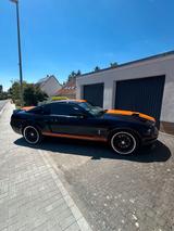 Ford Shelby GT 500 - Ford Mustang aus 2008: Shelby