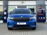 Skoda Enyaq 60 Suite*Kamera*AHK*LED*VC*LEDER*NAVI* - blaue Skoda Enyaq