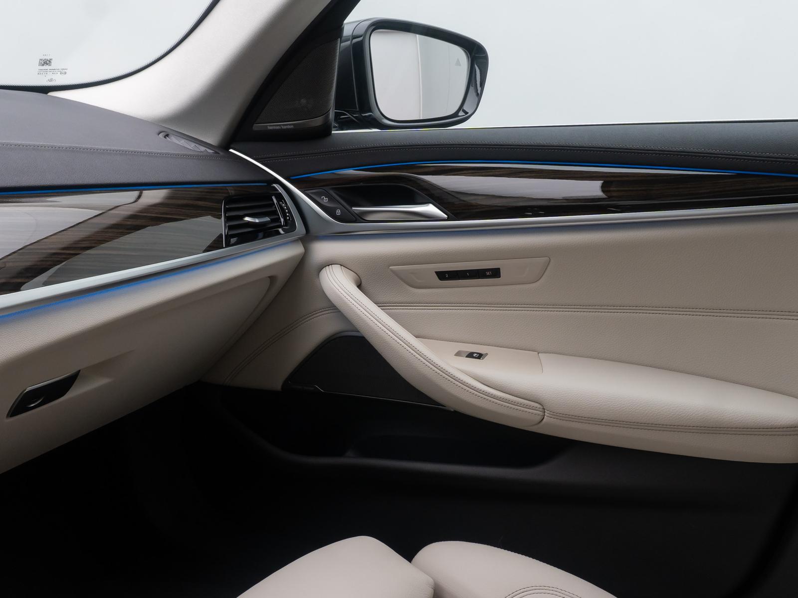 BMW 530e Luxury Line DAB H/K 4xKlima Alarm AHK Sport