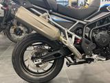Triumph Tiger 900 Alpine Edition - TRIUMPH VON 751 BIS 1000 CCM