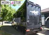 Mercedes-Benz 2651 Actros STX Pferdetrasnporter horseboxes - 4x4 Actros