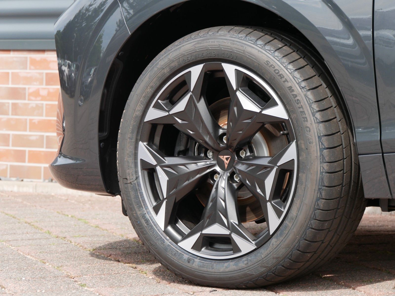 Cupra Terramar - Bild 11