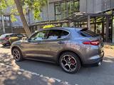 Alfa Romeo Stelvio 2.2 Diesel 16V 154kW AT8-Q4 Pano AHK   - Alfa Romeo in Köln