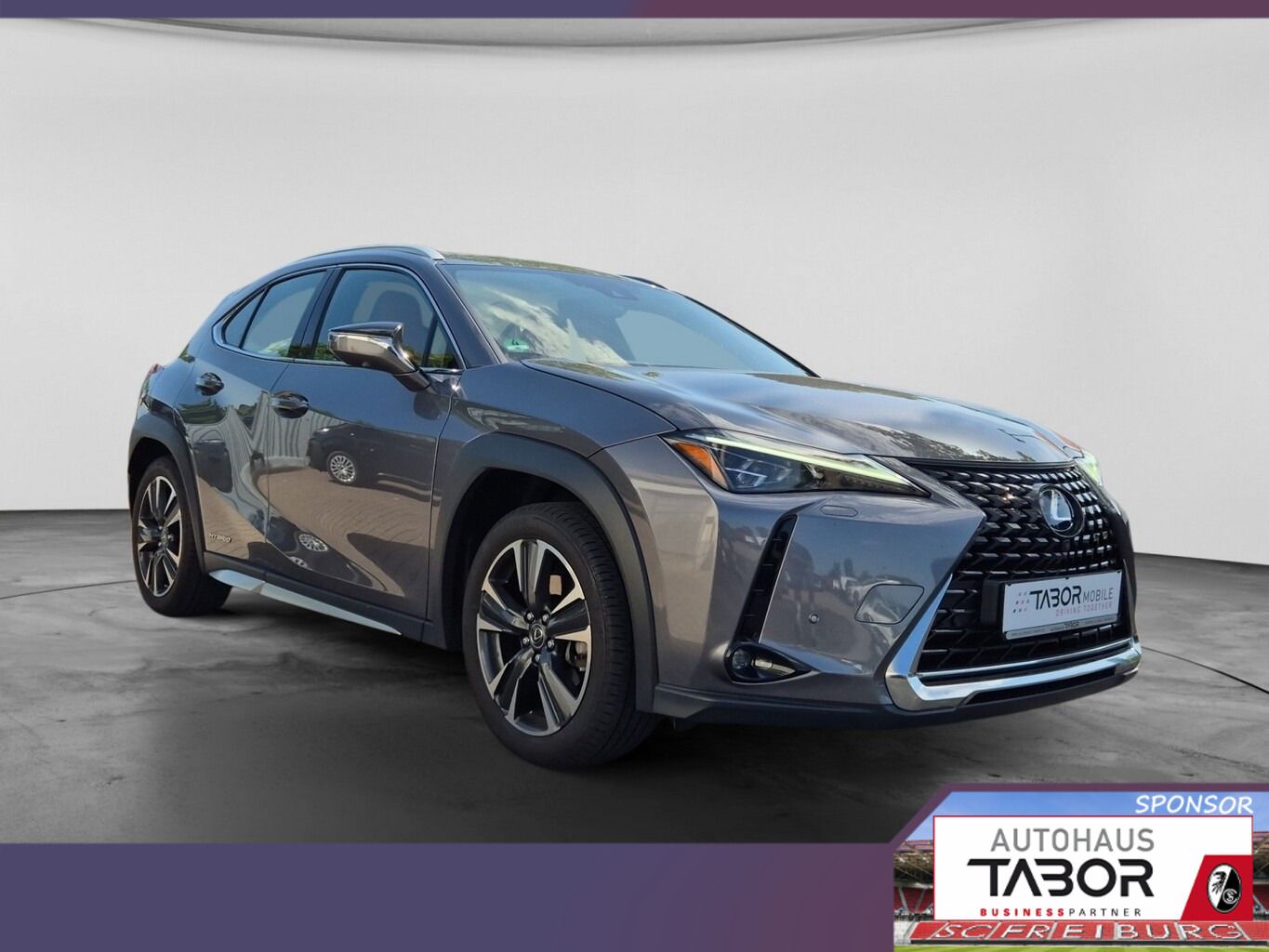 Lexus UX 250h Luxury Line Matrix LED Pano Memory Kam imagem 2