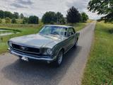 Ford Mustang 1966 Coupé - Ford Gebrauchtwagen von 1966