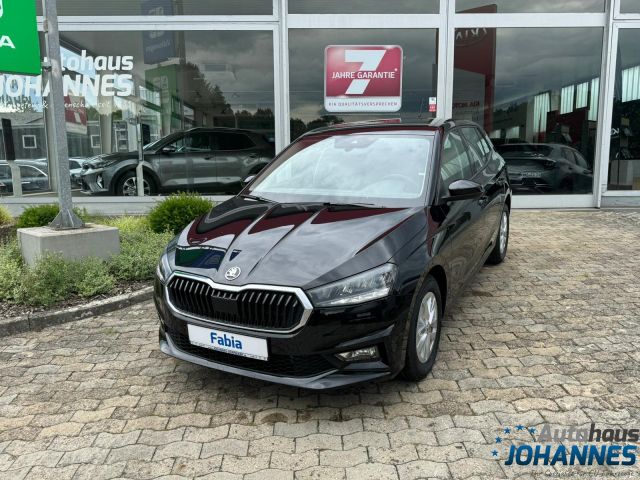 Skoda Fabia 1.0 TSI Selection Klima Einparkhilfe