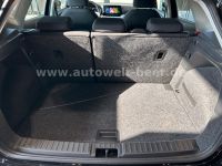 Seat Ibiza - Vorschau Bild 22